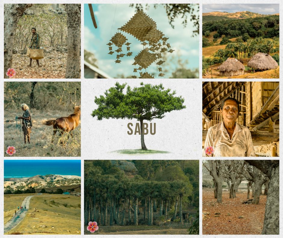 EthnoScapes photography from Sabu