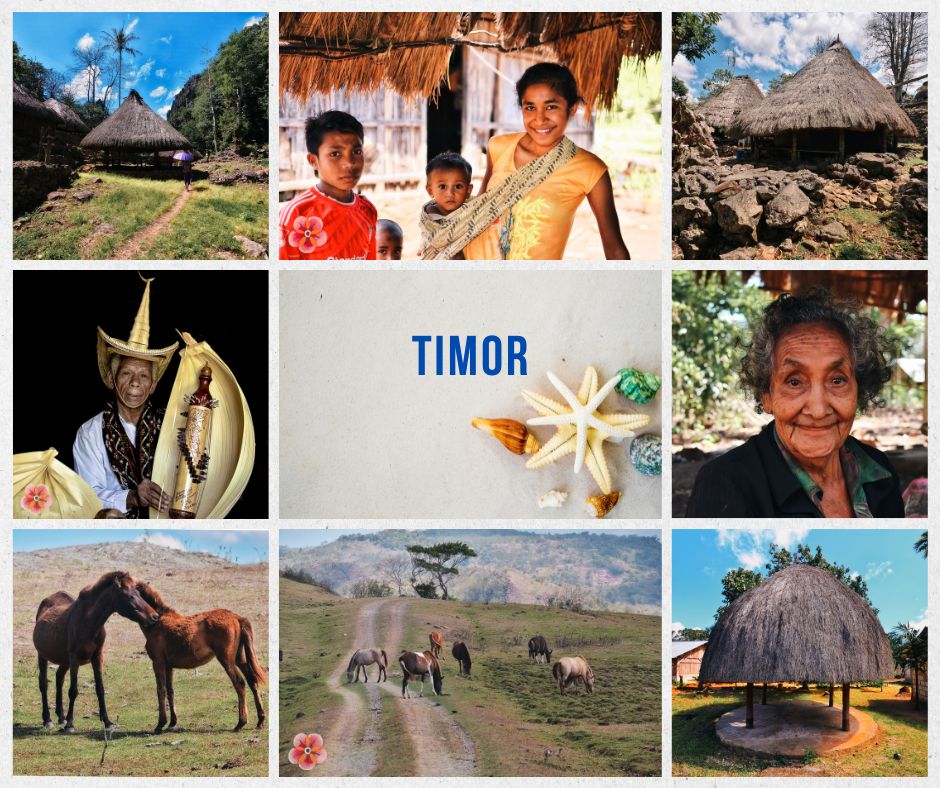 Timor field photography