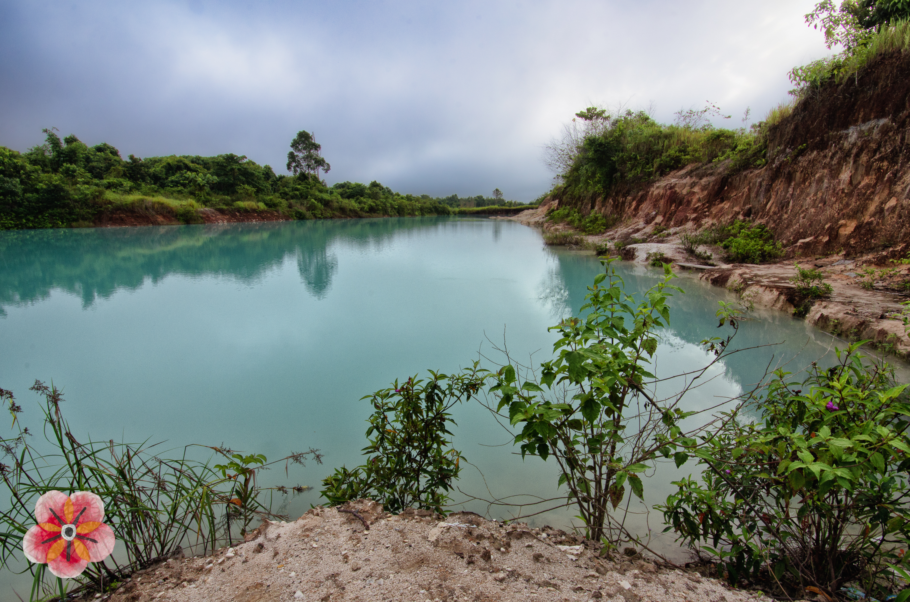 Central Kalimantan: forest, village, and changing land · image 8