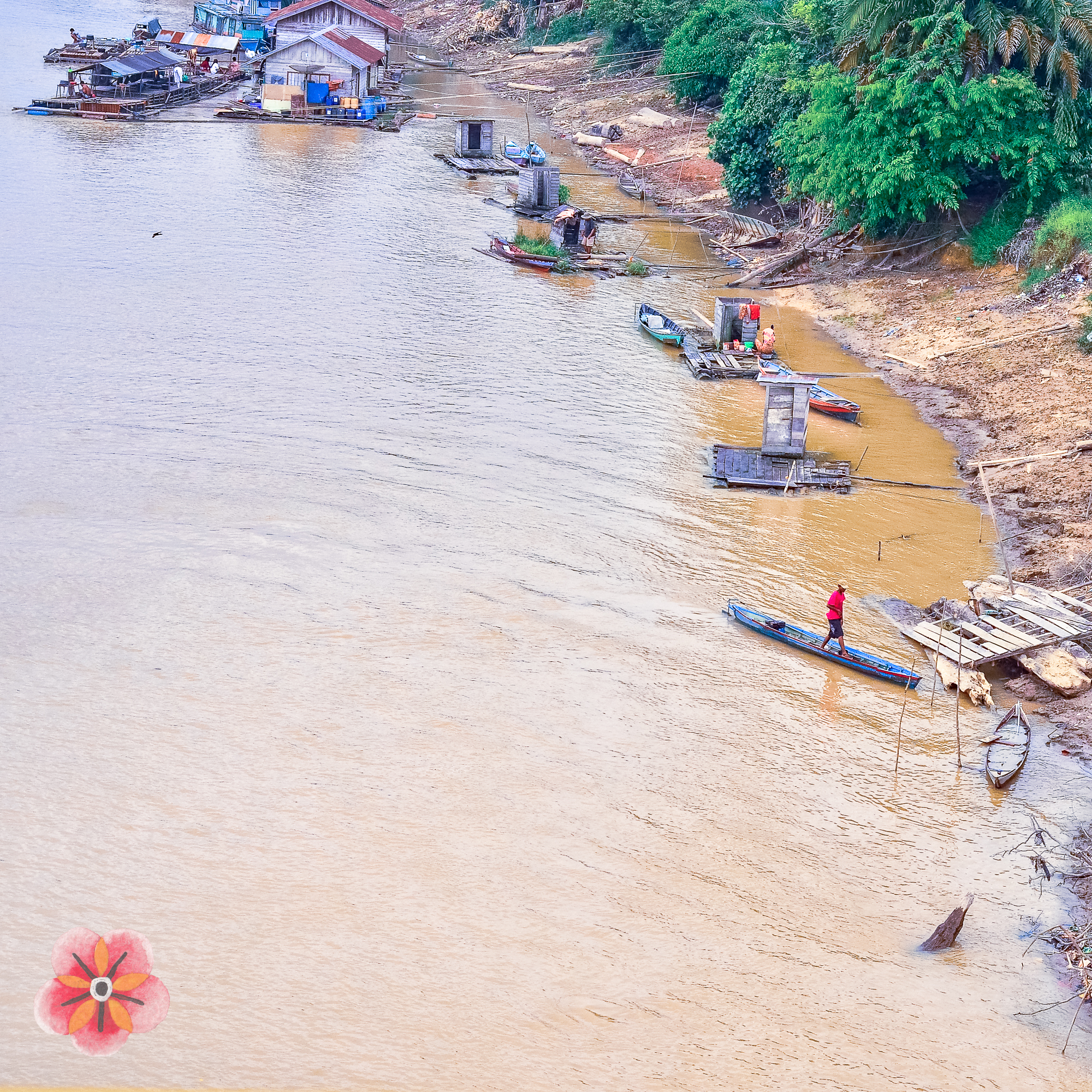 Central Kalimantan: forest, village, and changing land · image 9
