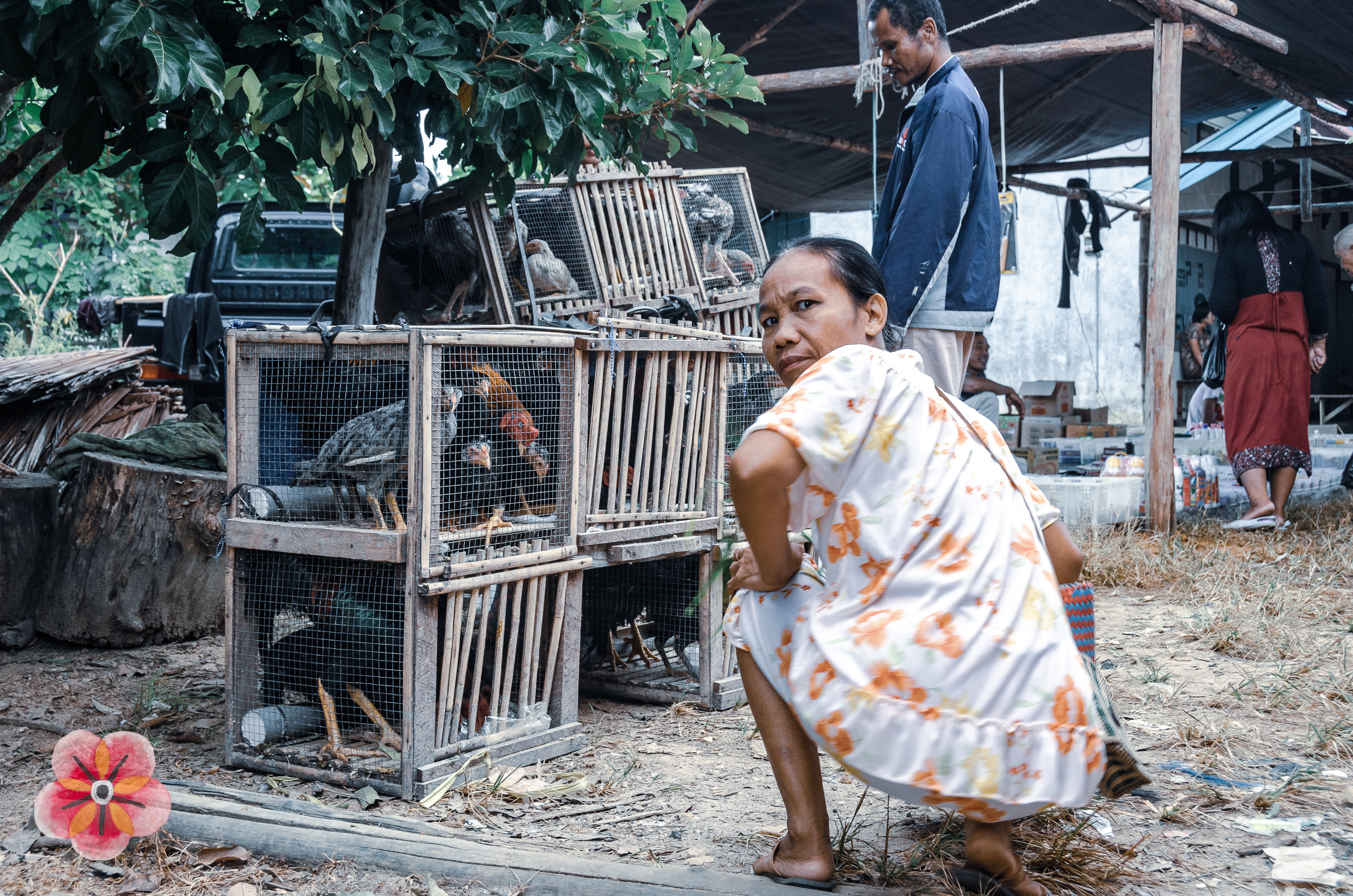 Central Kalimantan: market and daily exchange · image 12