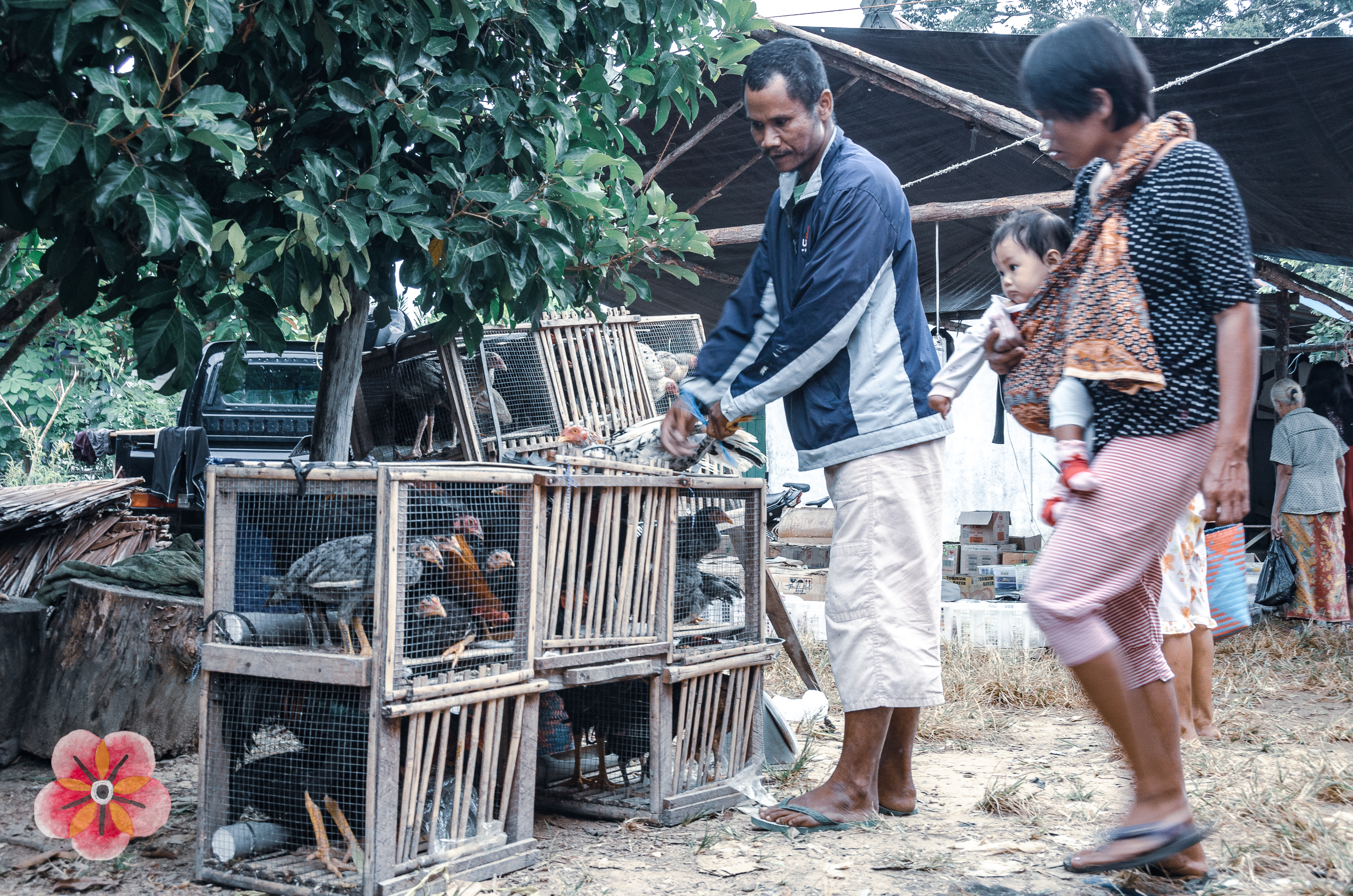 Central Kalimantan: market and daily exchange · image 13