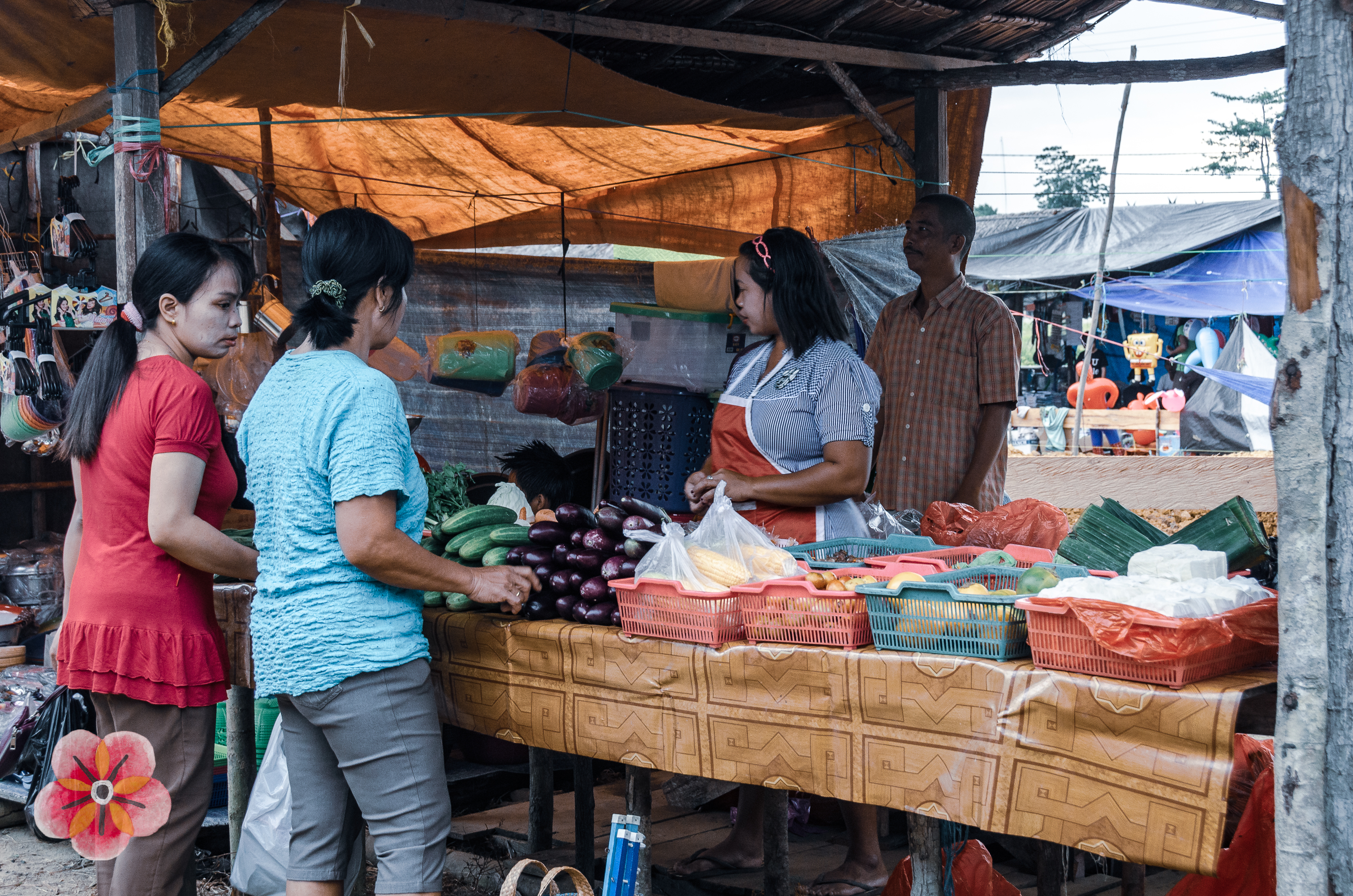 Central Kalimantan: market and daily exchange · image 14